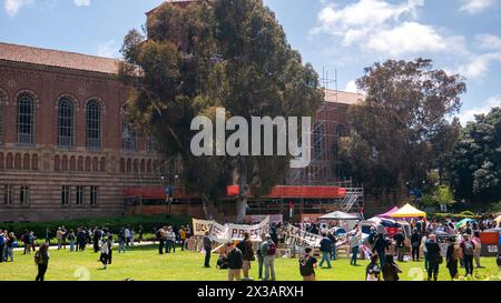 Los Angeles, Stati Uniti. 25 aprile 2024. Un accampamento di protesta contro la guerra a Gaza istituito sul Royce Quad nel campus dell'UCLA, l'Università di CA Foto Stock