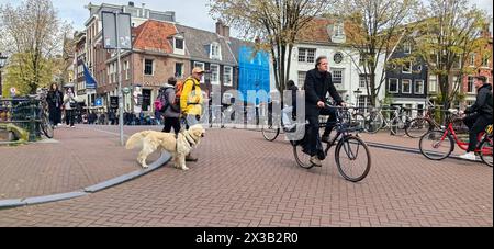 AMSTERDAM, NETHLANDS - 25 APRILE 2024 - le persone viaggiano in bicicletta in una strada di Amsterdam, Paesi Bassi, 25 aprile 2024. Foto Stock