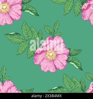 Motivo senza cuciture con fiori di rosa selvatica. Illustrazione vettoriale in stile retro dettagliato. Illustrazione Vettoriale