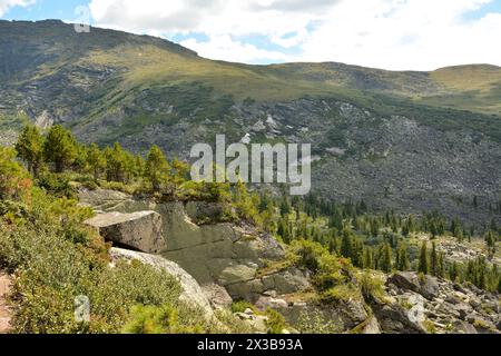 Sporgenze di pietra con giovani pini sulle cime sullo sfondo di un'alta montagna dolce in una soleggiata giornata estiva. Parco naturale Ergaki, Krasno Foto Stock