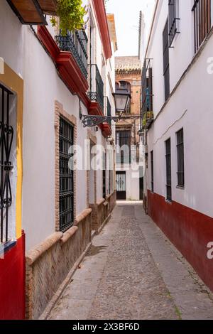 Strada acciottolata in pietra con edifici tradizionali bianchi e lampioni stradali, centro di Siviglia, juderia, Siviglia, Andalusia, Spagna Foto Stock