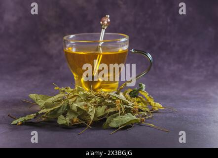 Tazza di vetro con un infuso di tè in fiore di lime con foglie fresche intorno Foto Stock