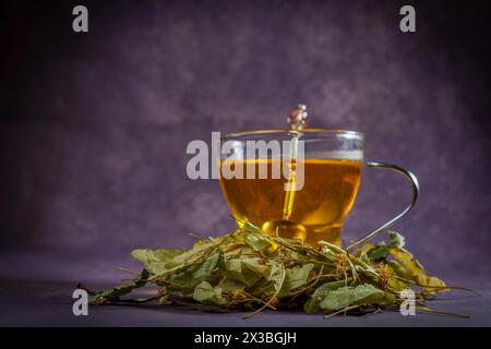 Tazza di vetro con un infuso di tè in fiore di lime con foglie fresche intorno Foto Stock