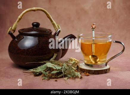 Tazza di vetro con teiera e foglie di tiglio fresche, infusione di tè in fiore di lime, pianta medicinale con proprietà terapeutiche Foto Stock