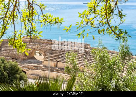 Antico anfiteatro romano, sito Patrimonio dell'Umanità delle Nazioni Unite a Tarragona, Spagna Foto Stock