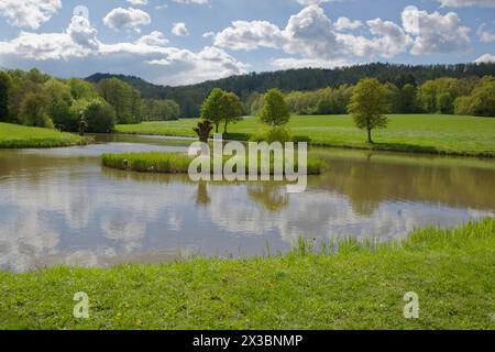 Stagno di pesci a Schwaebisch Hall, stagno, lago, primavera, aprile, parco naturale della foresta sveva-Franconica, Hohenlohe, Heilbronn-Franconia Foto Stock