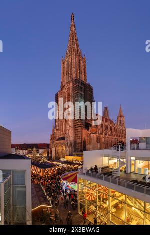 Mercatino di Natale di fronte alla cattedrale di Muensterplatz, Ulma, Baden-Wuerttemberg, alta Svevia, Germania, Ulm, Baden-Wuerttemberg, Germania Foto Stock