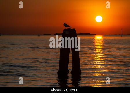 Tramonto mozzafiato sulla Laguna Venetia, Venezia, Italia Foto Stock