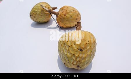 Ramphal noto anche come Wild Sweetsop, annona reticulata, RAM mela falwild crema pasticcera su sfondo bianco Foto Stock