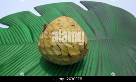 Ramphal noto anche come Wild Sweetsop, annona reticulata, RAM mela di crema pasticcera selvatica su sfondo a foglia verde Foto Stock