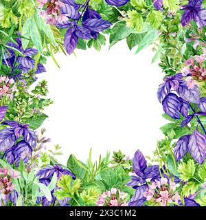 Cornice quadrata acquerello con erbe da giardino e piatti vintage in stile rustico. Illustrazione con erbe fresche da cucina. Salvia, prezzemolo, lattuga, aneto, Foto Stock