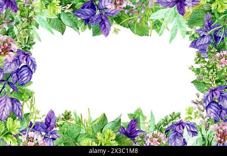 Cornice quadrata acquerello con erbe da giardino e piatti vintage in stile rustico. Illustrazione con erbe fresche da cucina. Salvia, prezzemolo, lattuga, aneto, Foto Stock