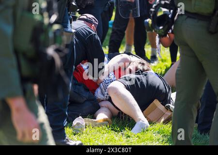 Bloomington, Stati Uniti. 25 aprile 2024. BLOOMINGTON, INDIANA - APRILE 25: Decine di persone vengono arrestate dalla squadra di sommossa della polizia di Stato dell'Indiana durante una protesta pro-palestinese nel campus il 25 aprile 2024 a Bloomington, Indiana. I manifestanti avevano allestito un campo tenda a Dunn Meadow alle 11 del mattino e la polizia ha detto loro di abbattere le tende, o avrebbero sgomberato l'area con la forza e arrestato chiunque non se ne fosse andato. Tutti i manifestanti arrestati, compresi i professori, sono stati banditi dal campus dell'Indiana University per un anno. ( Crediti: Jeremy Hogan/Alamy Live News Foto Stock