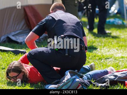 Bloomington, Stati Uniti. 25 aprile 2024. BLOOMINGTON, INDIANA - APRILE 25: Decine di persone vengono arrestate dalla squadra di sommossa della polizia di Stato dell'Indiana durante una protesta pro-palestinese nel campus il 25 aprile 2024 a Bloomington, Indiana. I manifestanti avevano allestito un campo tenda a Dunn Meadow alle 11 del mattino e la polizia ha detto loro di abbattere le tende, o avrebbero sgomberato l'area con la forza e arrestato chiunque non se ne fosse andato. Tutti i manifestanti arrestati, compresi i professori, sono stati banditi dal campus dell'Indiana University per un anno. ( Crediti: Jeremy Hogan/Alamy Live News Foto Stock