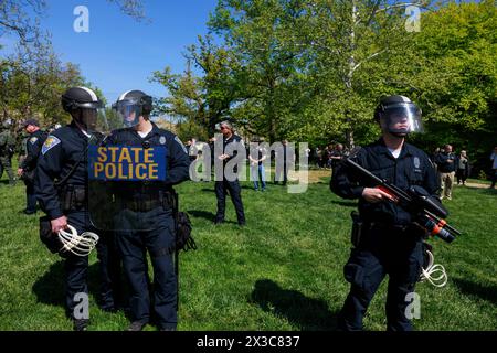 Bloomington, Stati Uniti. 25 aprile 2024. BLOOMINGTON, INDIANA - APRILE 25: Decine di persone vengono arrestate dalla squadra di sommossa della polizia di Stato dell'Indiana durante una protesta pro-palestinese nel campus il 25 aprile 2024 a Bloomington, Indiana. I manifestanti avevano allestito un campo tenda a Dunn Meadow alle 11 del mattino e la polizia ha detto loro di abbattere le tende, o avrebbero sgomberato l'area con la forza e arrestato chiunque non se ne fosse andato. Tutti i manifestanti arrestati, compresi i professori, sono stati banditi dal campus dell'Indiana University per un anno. ( Crediti: Jeremy Hogan/Alamy Live News Foto Stock