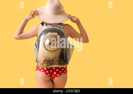 Turista femminile con cane della Pomerania in porta zaino su sfondo giallo, vista posteriore Foto Stock