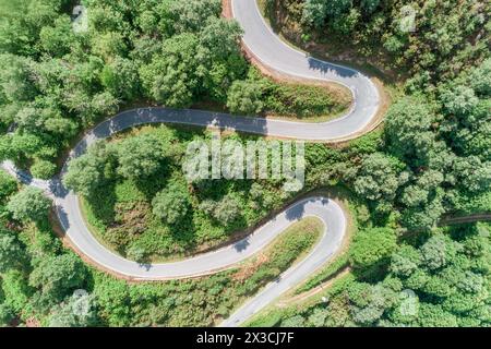 vista aerea dall'alto di una strada curva e di una foresta di querce Foto Stock