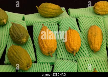 Etrogs o frutti di cedro, una delle quattro specie di piante utilizzate nell'osservanza rituale della festa ebraica di Sukkot, essendo vendute in uno speciale Foto Stock