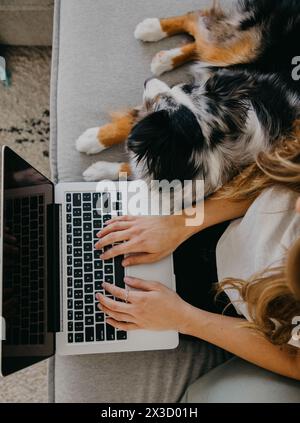 Donna accogliente che lavora da un notebook con un cane accanto. Foto Stock