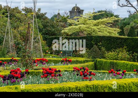 I giardini del castello di Arundel durante l'annuale e molto popolare festival dei tulipani Foto Stock