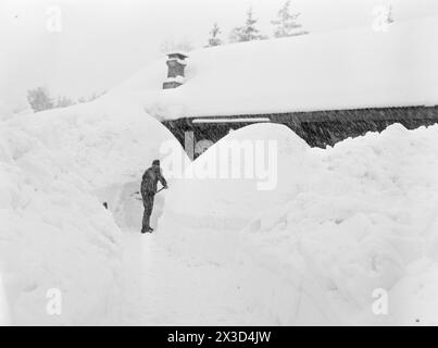 Effettivo 05- 1951: Norvegia meridionale coperta di neve. Lungo le strade, i bordi dell'aratro sono alti quattro cinque metri, la neve è così alta che si può facilmente uscire dal secondo piano e le persone devono costantemente salire sui tetti per liberare la neve da lì. Foto: Arne Kjus / Aktuell / NTB ***la foto non viene elaborata*** il testo dell'immagine viene tradotto automaticamente Foto Stock