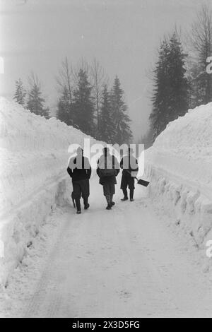 Effettivo 05- 1951: Norvegia meridionale coperta di neve. Lungo le strade, i bordi dell'aratro sono alti quattro cinque metri, la neve è così alta che si può facilmente uscire dal secondo piano e le persone devono costantemente salire sui tetti per liberare la neve da lì. Foto: Arne Kjus / Aktuell / NTB ***la foto non viene elaborata*** il testo dell'immagine viene tradotto automaticamente Foto Stock