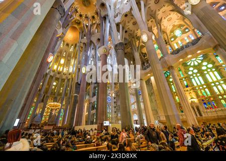 Hauptschiff, Deckengewölbe, Säulen, Sagrada Familia, Basilica von Antoni Gaudi, Barcellona, Katalonien, spagnolo Foto Stock