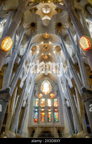 Hauptschiff, Deckengewölbe, Säulen, Sagrada Familia, Basilica von Antoni Gaudi, Barcellona, Katalonien, spagnolo Foto Stock
