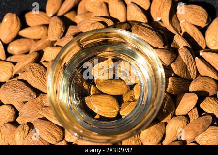 Mandorle (Prunus dulcis, Prunus amygdalus, Amygdalus communis, Amygdalus dulcis), mandorle crude con una ciotola in vetro di olio di mandorle Foto Stock