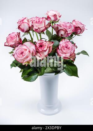 Rot-weiße Rosen in KPM-Vase Foto Stock