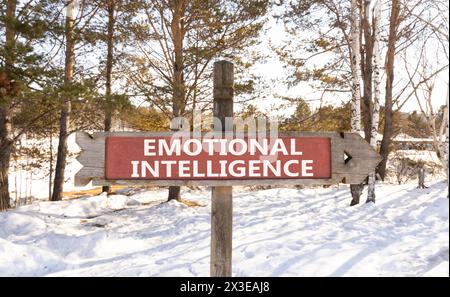 Ei simbolo di intelligenza emotiva. Parole concettuali EI intelligenza emotiva su segnali stradali in legno. Splendida foresta con cielo innevato. Psicolo degli affari Foto Stock