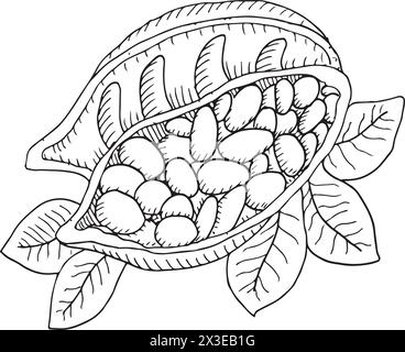 Illustrazione vettoriale fagioli di cacao. Fagioli di cacao disegnati a mano dipinti da inchiostri neri su sfondo isolato in stile lineare. Illustrazione Vettoriale