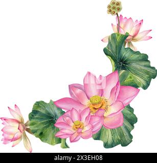 Acquerello, angolo, loto, fiore rosa, illustrazione, telaio, realistico, dipinto a mano, decorazione, giorno della madre, invito Foto Stock