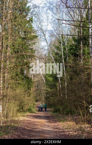 Gente che ama la giornata di sole nel parco Foto Stock
