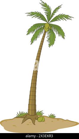 Illustrazione vettoriale albero di cocco Illustrazione Vettoriale