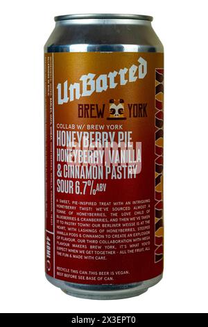 Unbarred Brewery in collaborazione con Brew Youk - torta di mirtilli - Honetberry, Vaniglia & Cinnamon Pastry Sour - 6,7% abv. Foto Stock