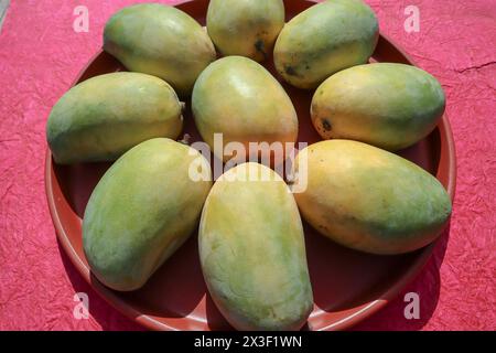 Deliziosi frutti di mango si preparano sul piatto, varietà King of Fruits Mango Kesar keri Foto Stock