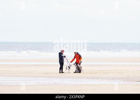 Gli amanti dei cani si recano in spiaggia per godersi il sole, Fraisthorpe Beach, East Yorkshire, Regno Unito Foto Stock