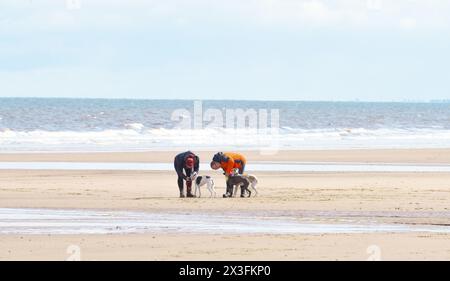 Gli amanti dei cani si recano in spiaggia per godersi il sole, Fraisthorpe Beach, East Yorkshire, Regno Unito Foto Stock