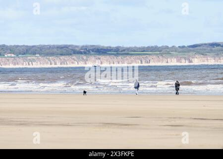 Gli amanti dei cani si recano in spiaggia per godersi il sole, Fraisthorpe Beach, East Yorkshire, Regno Unito Foto Stock