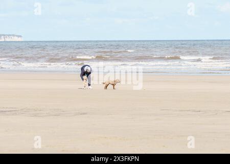 Gli amanti dei cani si recano in spiaggia per godersi il sole, Fraisthorpe Beach, East Yorkshire, Regno Unito Foto Stock