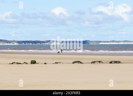Gli amanti dei cani si recano in spiaggia per godersi il sole, Fraisthorpe Beach, East Yorkshire, Regno Unito Foto Stock