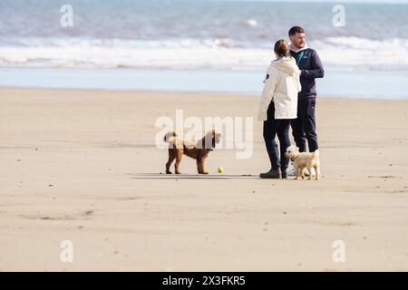 Gli amanti dei cani si recano in spiaggia per godersi il sole, Fraisthorpe Beach, East Yorkshire, Regno Unito Foto Stock