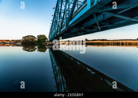 Sotto un ponte blu e un'ex ferrovia in Danimarca, presso una palude faunistica con un'acqua di soglia che riflette l'architettura Foto Stock