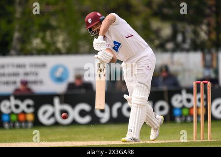 Kidderminster, Regno Unito. 25 aprile 2024. Andy Umeed di Somerset guida la palla durante la partita di 1° divisione del Vitality County Championship Worcestershire vs Somerset al Kidderminster Cricket Club, Kidderminster, Regno Unito, 26 aprile 2024 (foto di Craig Thomas/News Images) a Kidderminster, Regno Unito, il 25 aprile 2024. (Foto di Craig Thomas/News Images/Sipa USA) credito: SIPA USA/Alamy Live News Foto Stock