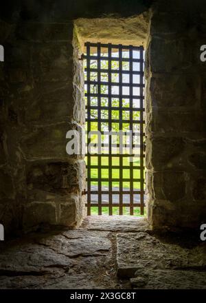 La primavera fuori dal mondo, vista attraverso i bar del cancello di metallo nella dark vintage Jail, Arrow Rock, Missouri Foto Stock