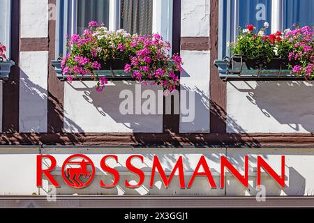 WERNIGERODE, GERMANIA - 5 settembre 2023: Logo Rossmann sul negozio Rossmann. Rossmann è una delle più grandi catene di negozi di droga in Europa con circa 56,2 negozi Foto Stock