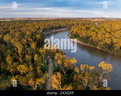 Vista aerea di un ampio fiume fiancheggiato da alberi di gomma al sole mattutino che si snoda in lontananza vicino a Cobram, Victoria, Australia Foto Stock