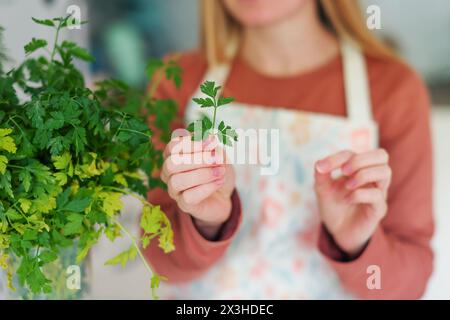 una ragazza in cucina si toglie una foglia di prezzemolo e aneto Foto Stock