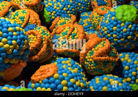 Colesterolo LDL (lipoproteina a bassa densità) e HDL (lipoproteina ad alta densità) - Vista ravvicinata illustrazione 3d. Foto Stock